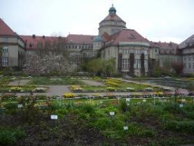 Botanischer Garten