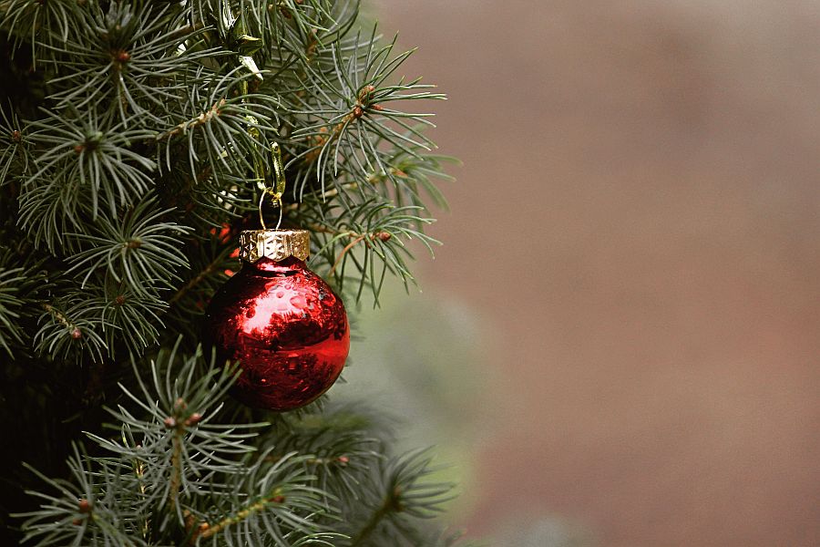 rote Kugel an Christbaum