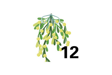 12 Advent Kachel