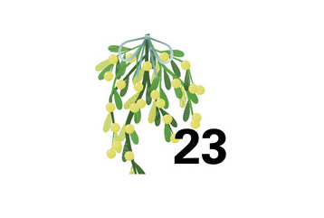 23 Advent Kachel