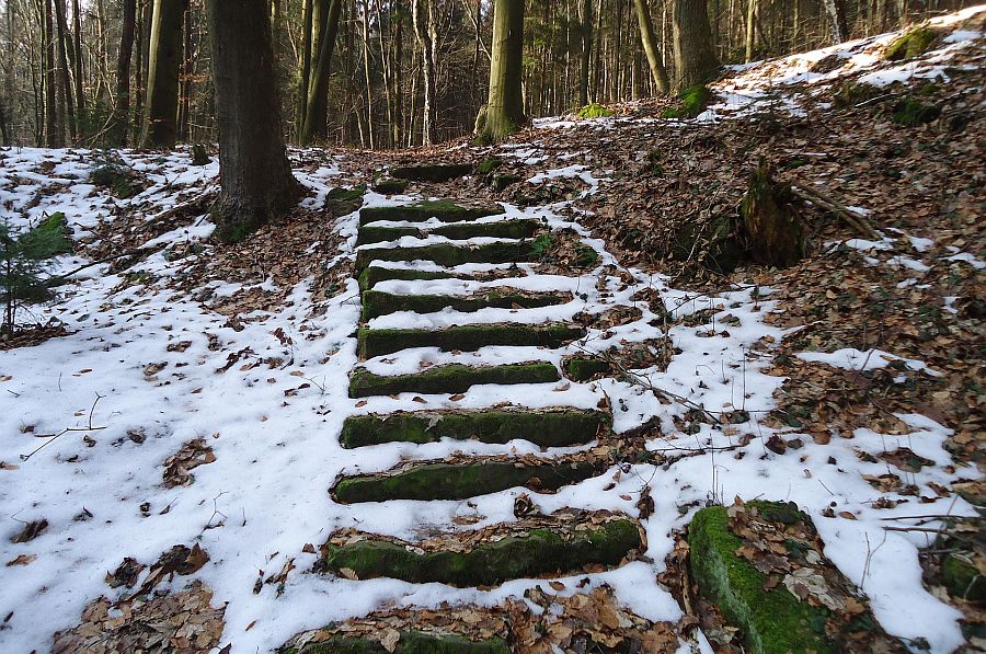 Verschneite Holztreppe im Wald