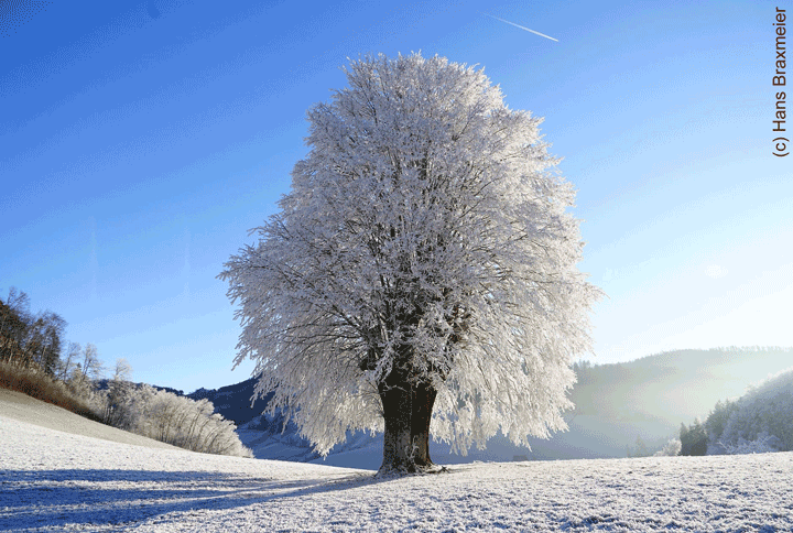 Wiinterlandschaft