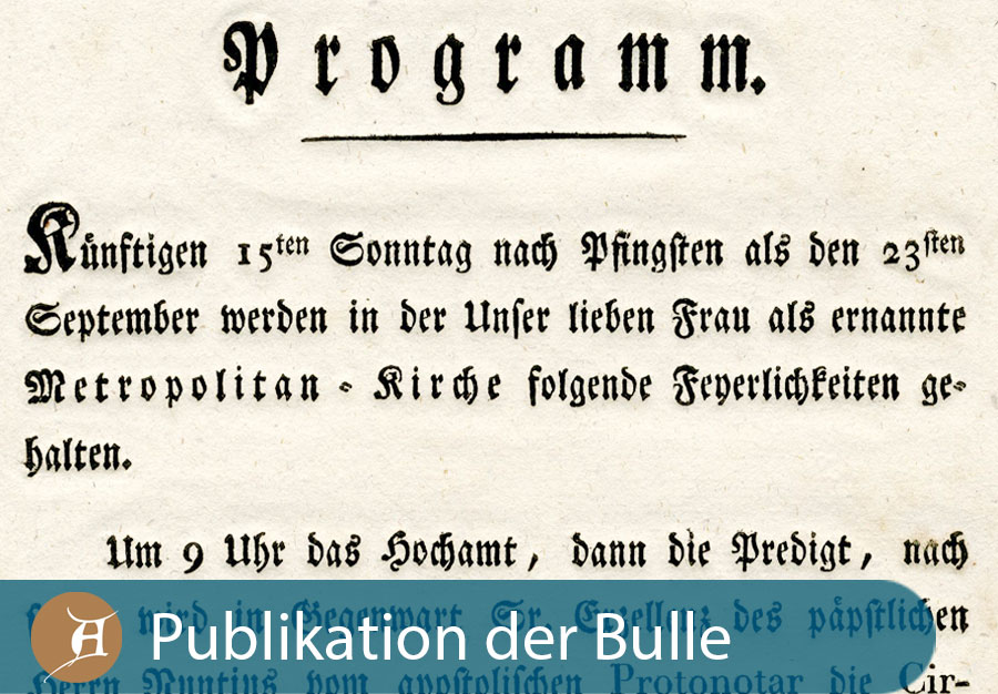 Grafik Publikation der Bulle