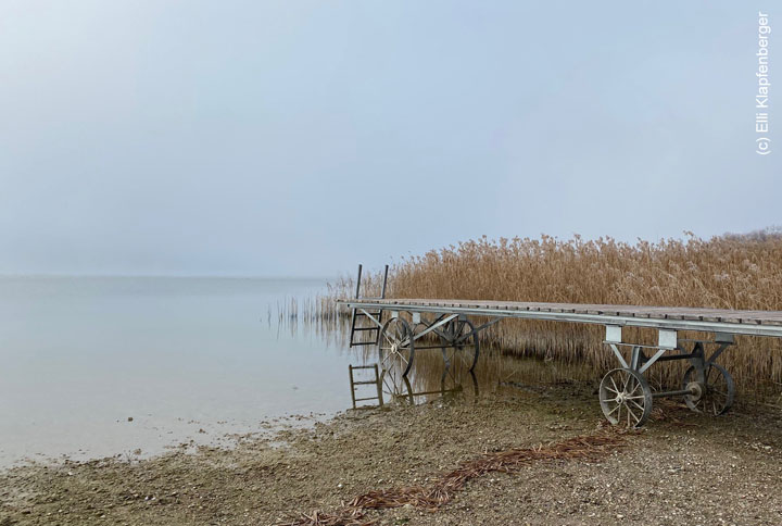 Chiemsee Schützing