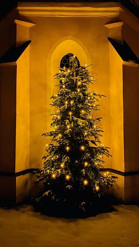 Foto Christbaum an der Kirche Großberghofen 2020