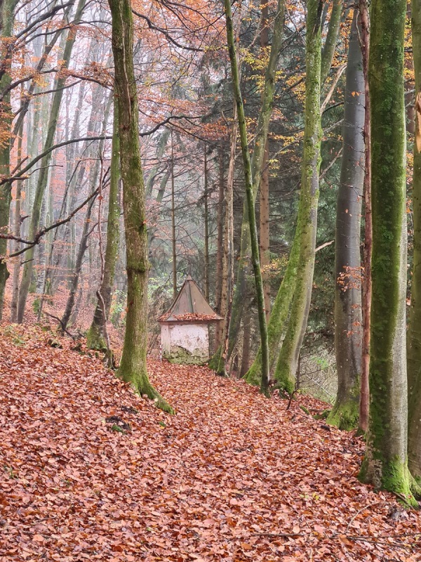 Biberschwell_Waldweg mit Wegkapelle