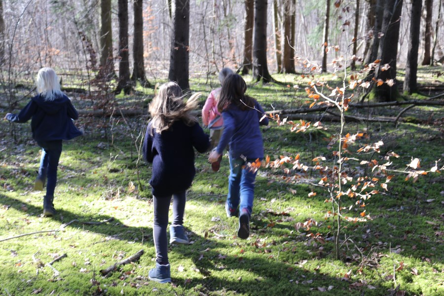 Osternestsuchen im Allacher Wald