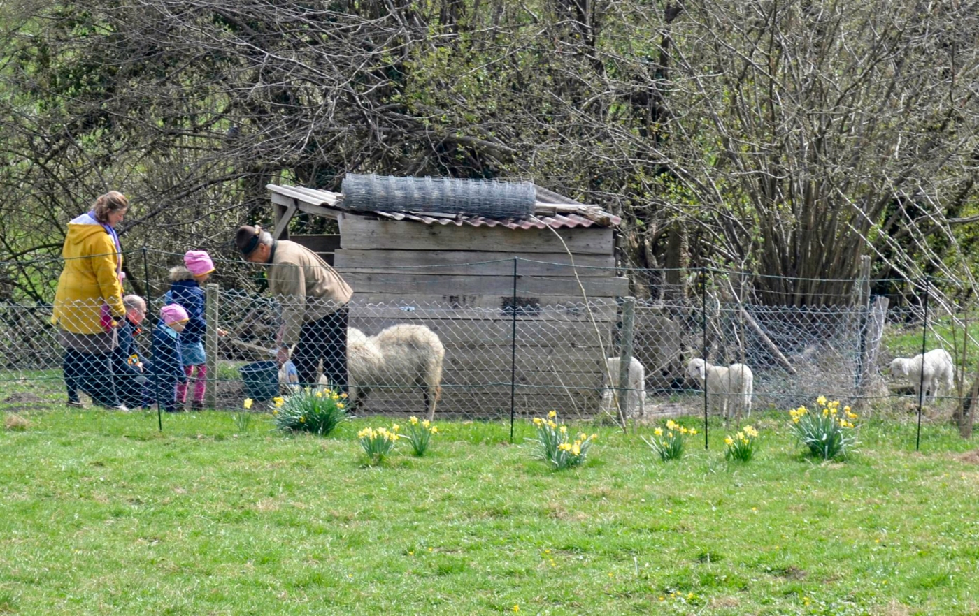 Ostereiersuchen im Pfarrgarten