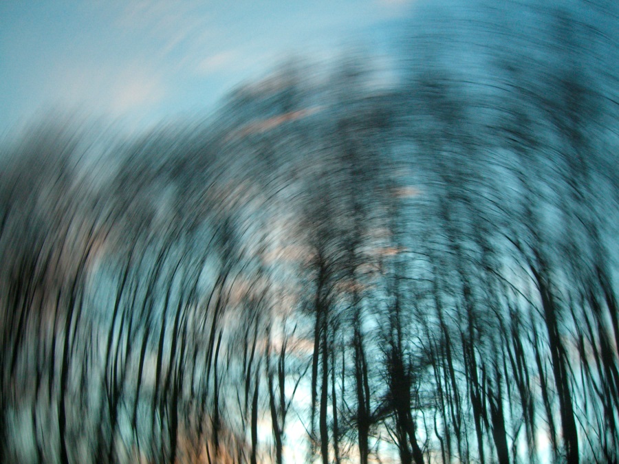 verzerrter Blick in Himmel und auf Bäume