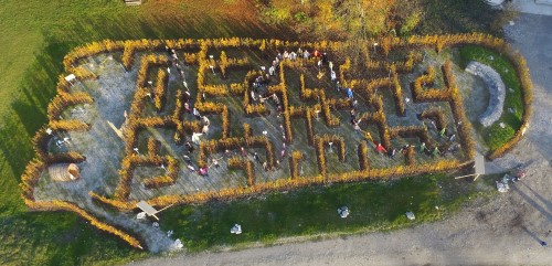 Heckenirrgarten Hochland