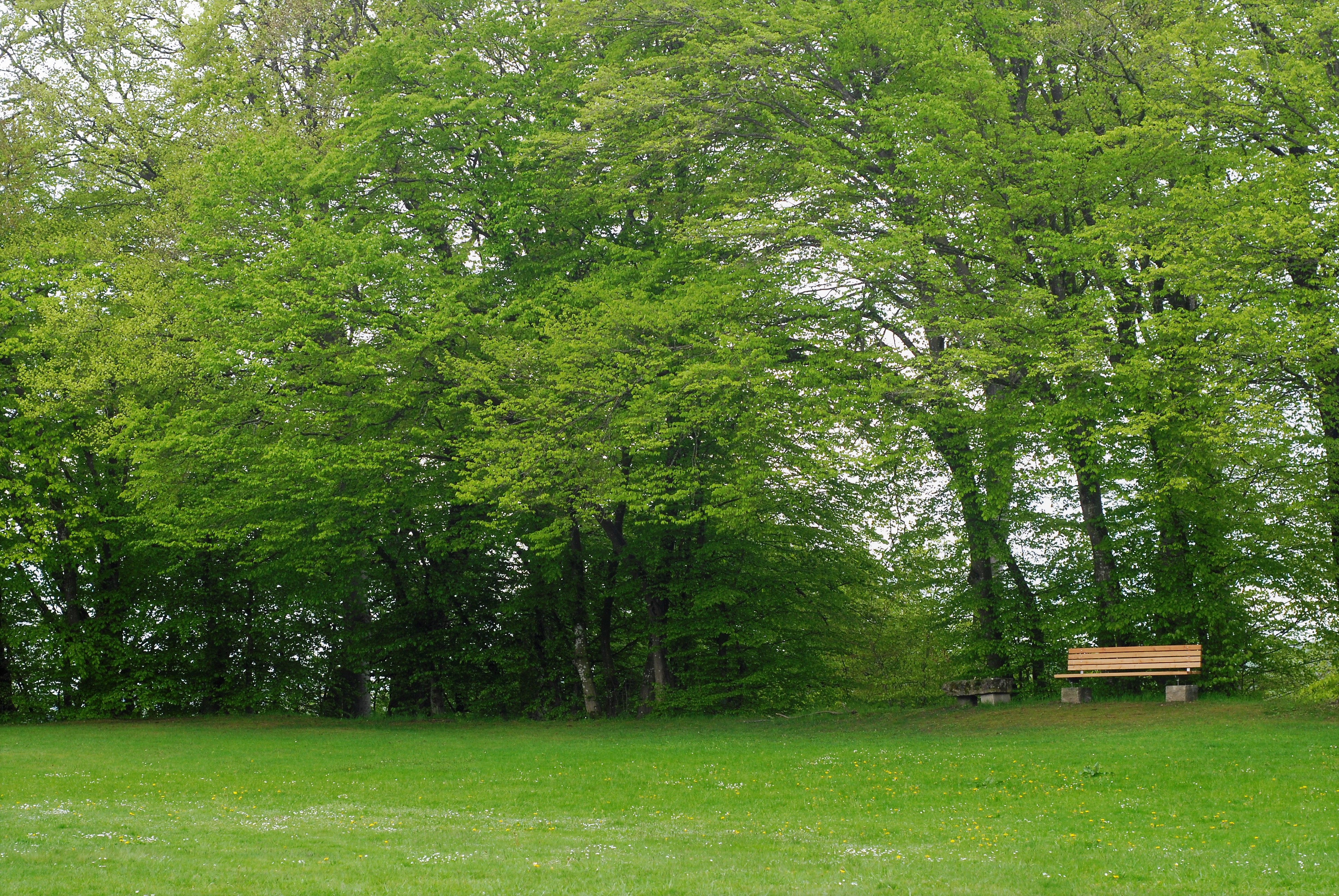 TaBOR - Trauer am Berg