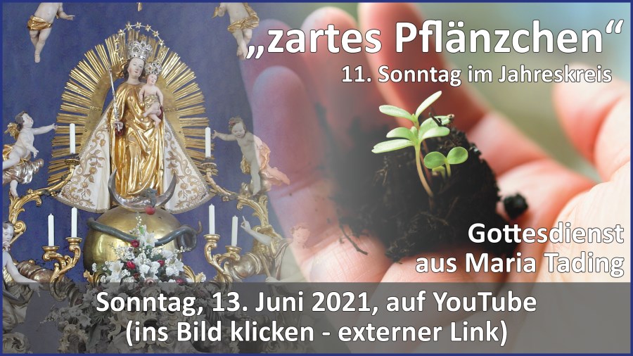 Gottesdienstübertragung Pfarrkirche Wallfahrtskirche Pfarrverband Maria Tading kirch dahoam – 11. Sonntag im Jahreskreis – Lesejahr B – 13. Juni 2021