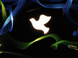 Auf dem Bild ist eine Lichtinstallation mit einer Taube zu sehen. Der Name lautet "Taube des Lichts".