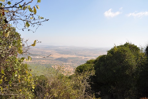 Landschaft in Israel
