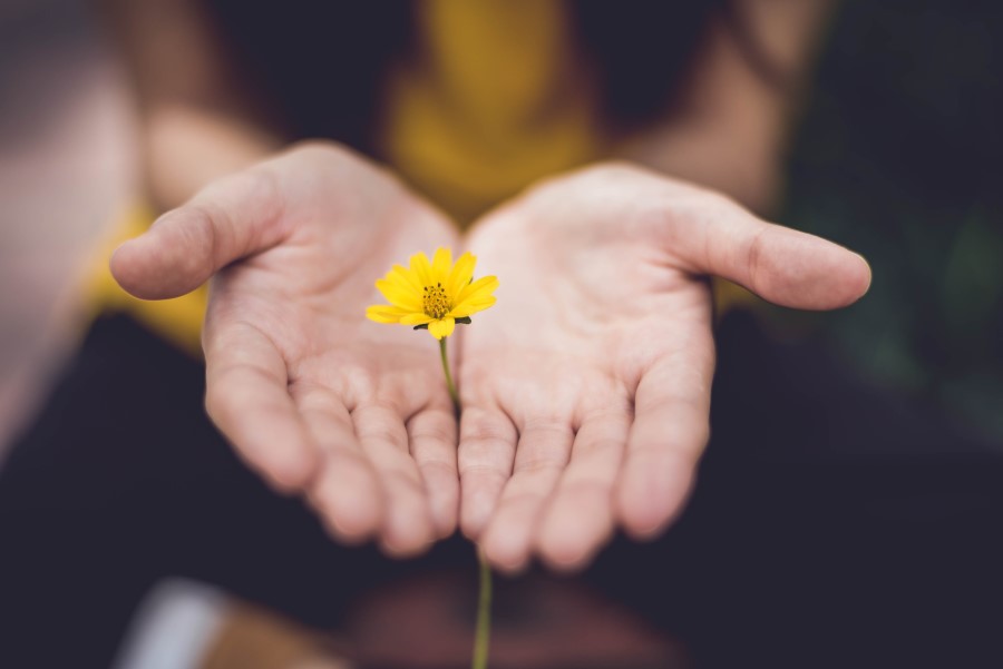 Hand mit Blume