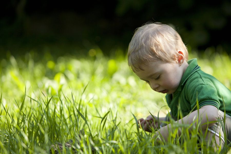 Kleiner Junge im Gras