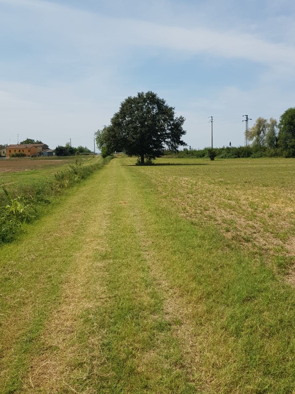 Aber schließlich erreichten wir freies Feld