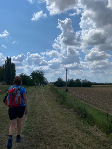 Traumhafter Wiesenweg, ein Balsam für die Füße!