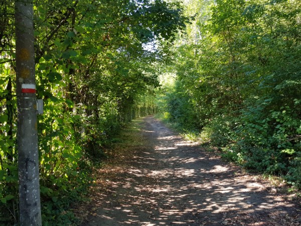 Wir wanderten auf wunderschönen Wegen