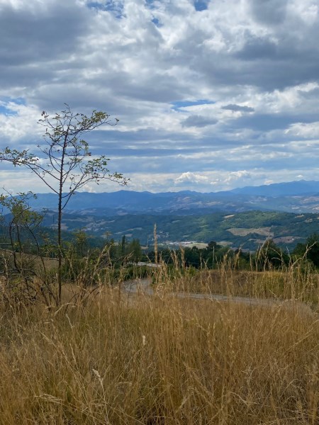 Ausblick auf's nächste Jahr?