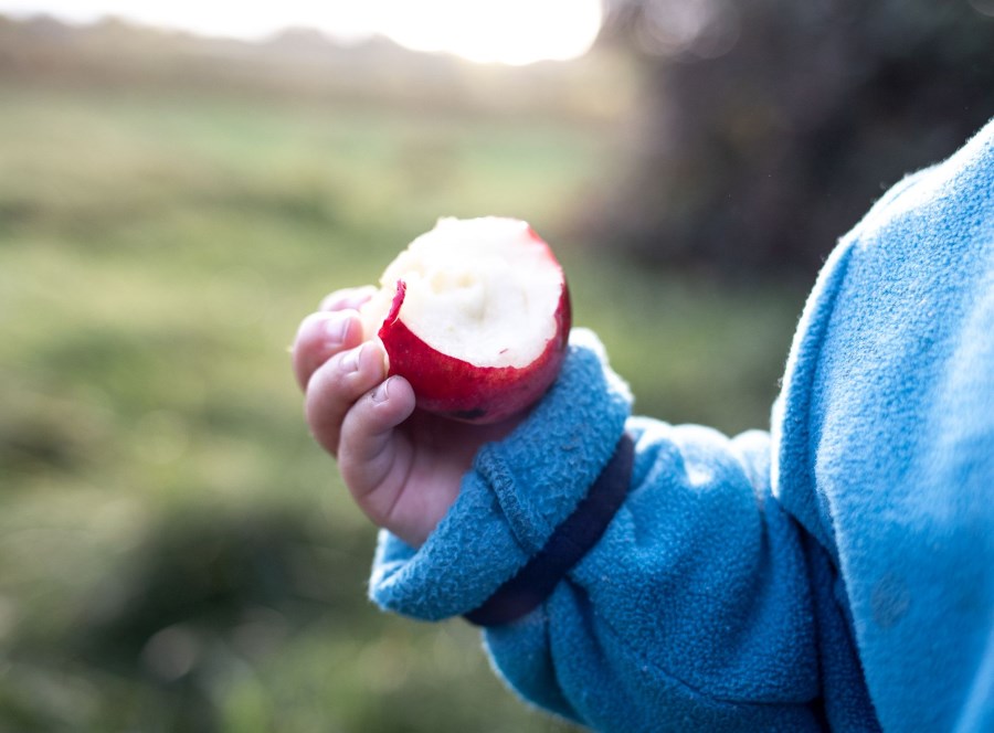 Angebissener Apfel in Kinderhand