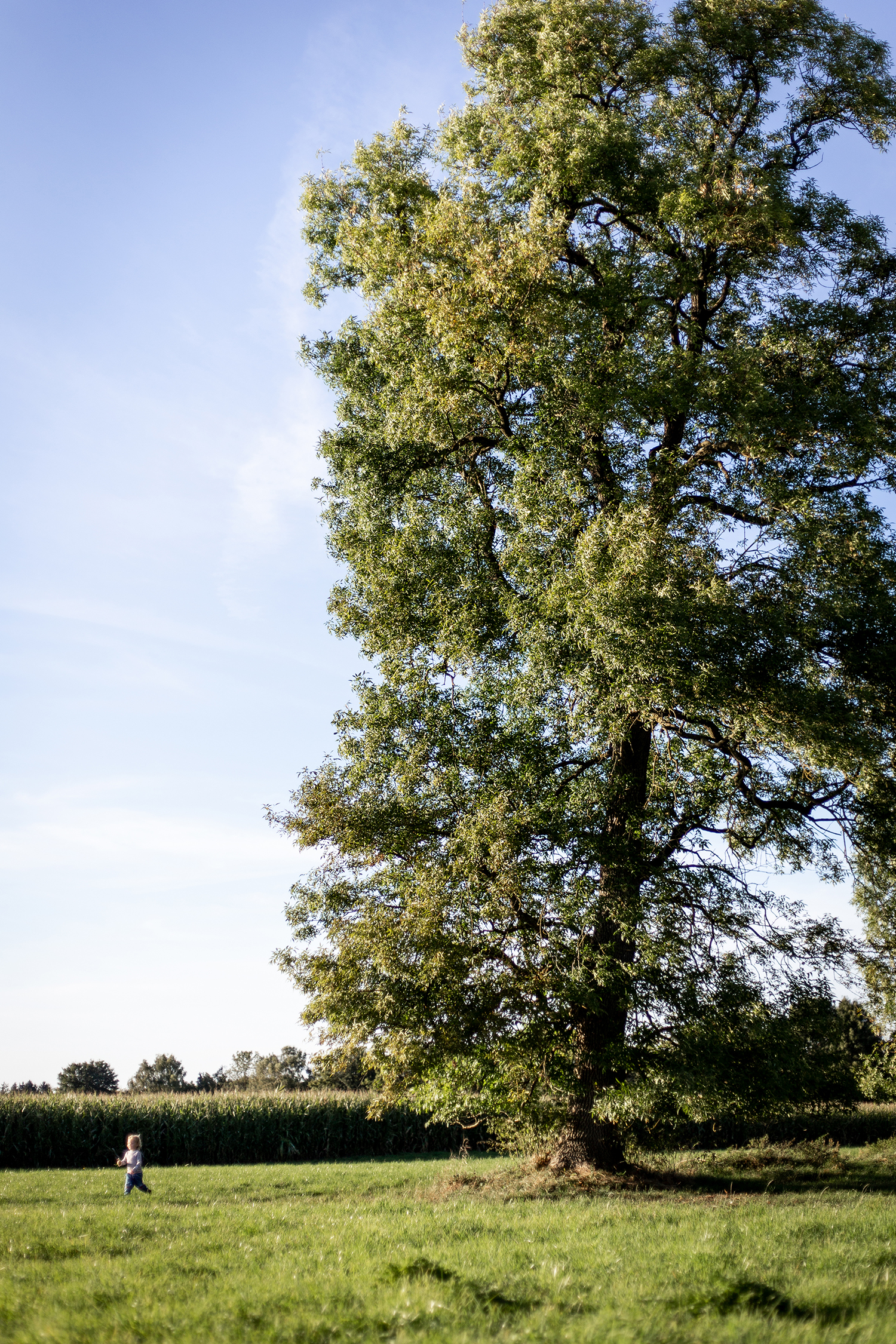 Kind und Baum