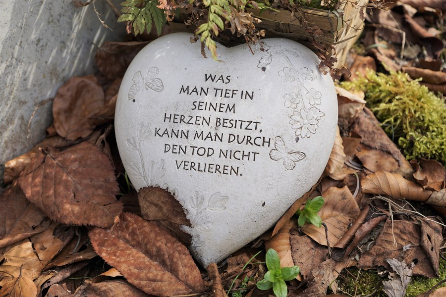 heart-3552159_by_strecosa_cc0-gemeinfrei_pixabay_pfarrbriefservice