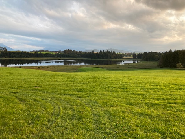 Blick über Wiese und See in die Berge