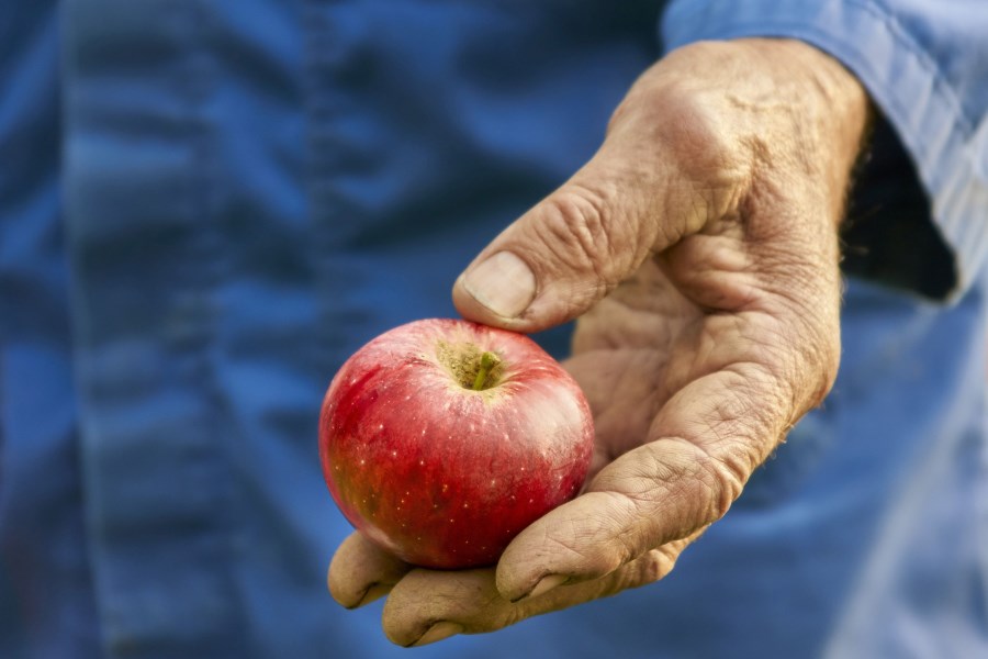 Apfel alter Mann