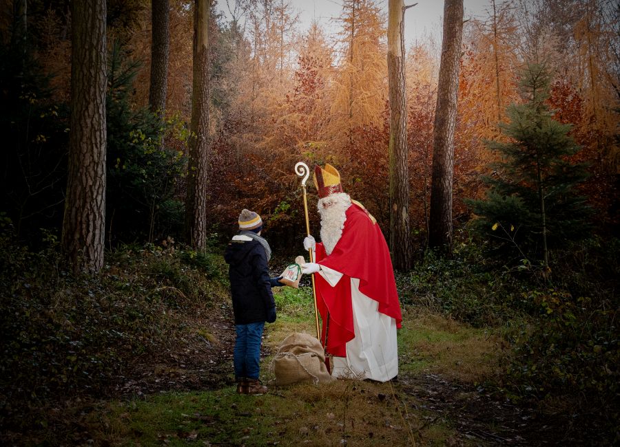 Nikolaus beschert im Wald