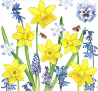 Frühlingsblumen
