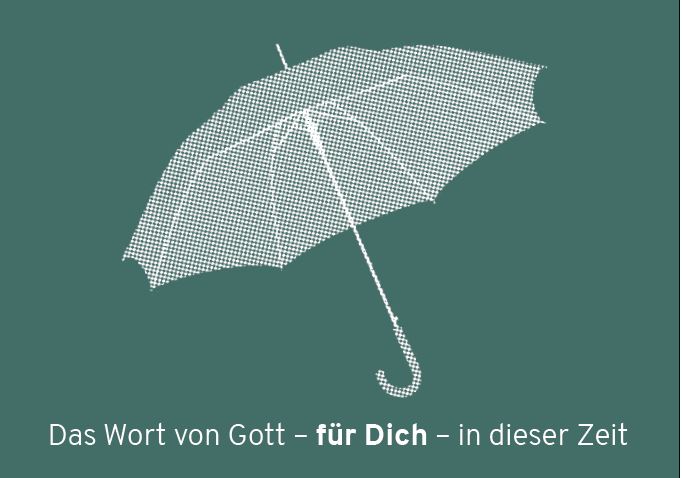 RegenschirmEINZELN