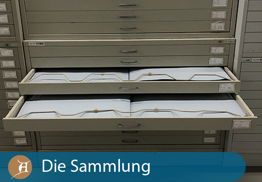 Die Sammlung