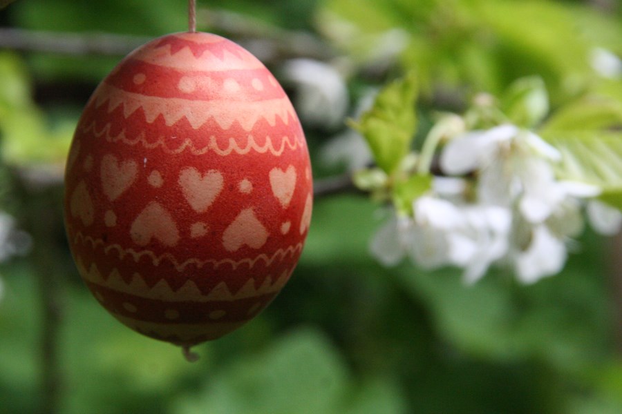 easter-egg-3348252_by_Marigard_pixabay_pfarrbriefservice