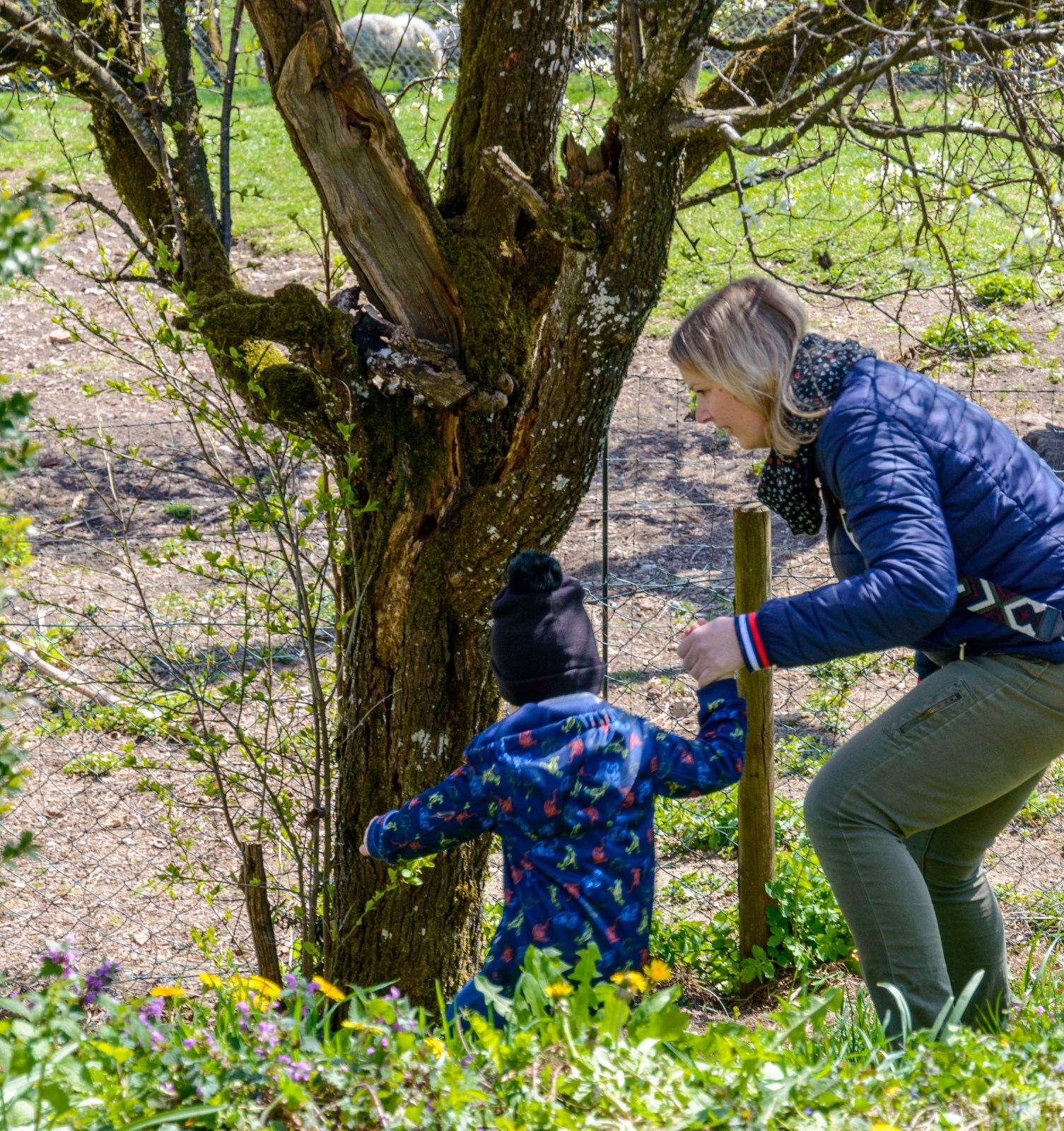 Ostereiersuchen im Pfarrgarten des Pfarrhauses in Rott am Inn