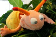 Wasserschnecke
