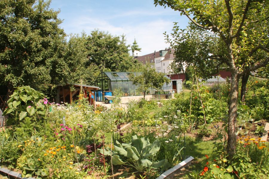 Gemeinschaftsgarten auf dem Gelände des Campus St. Michael in Traunstein