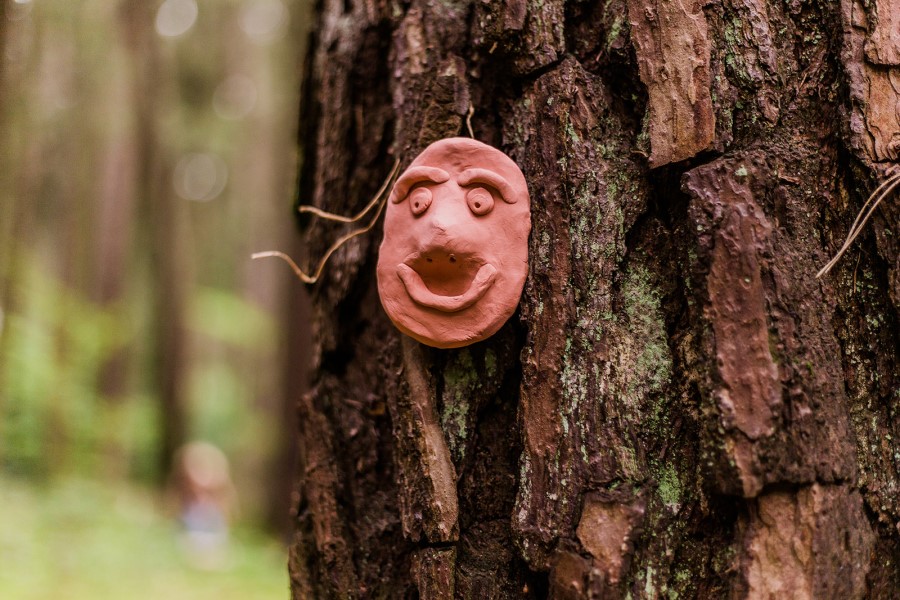 Schatzzeit Wald, Gesicht am Baum