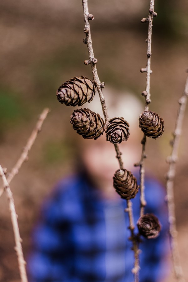 Schatzzeit Wald