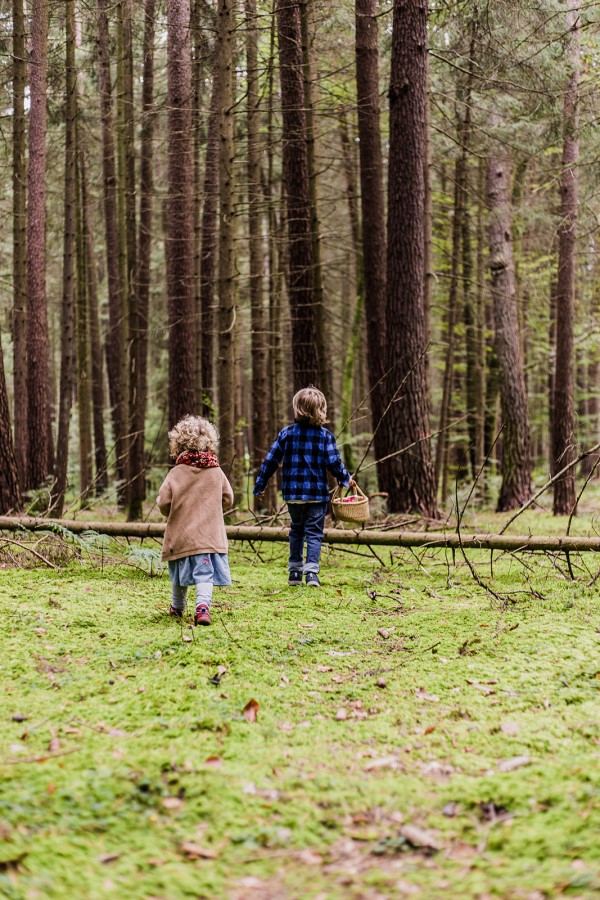 Schatzzeit im Wald