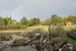 Insektengarten auf dem Gelände des Campus St. Michael in Traunstein