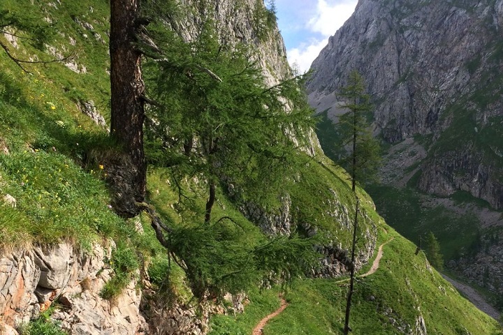 Weg