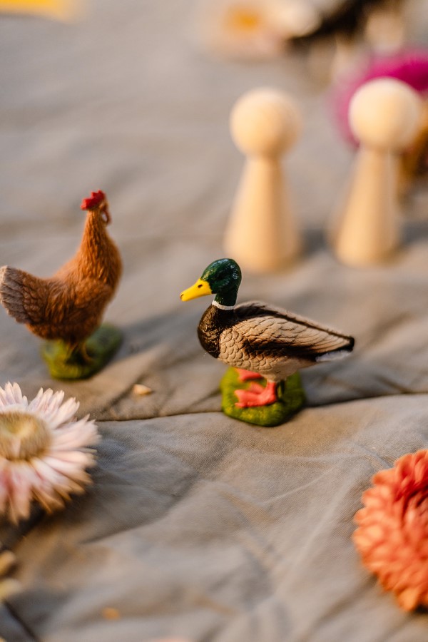 Ente auf der Herzdecke