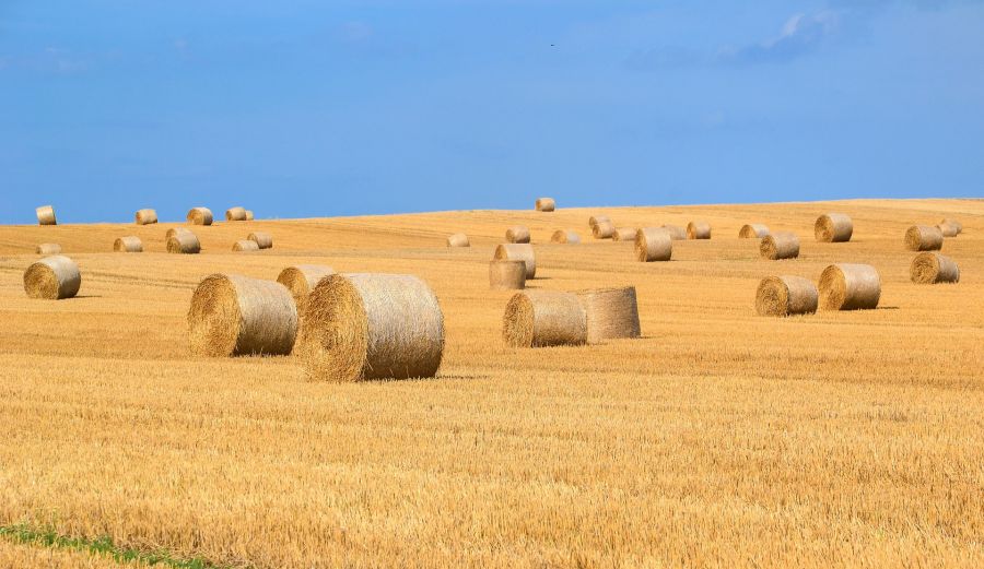 Herbstliches Feld mit Strohballen