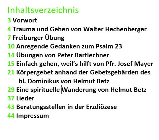 Inhaltsverzeichnis