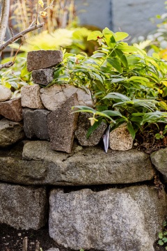 Steinmauer Schatzzeit Klagen