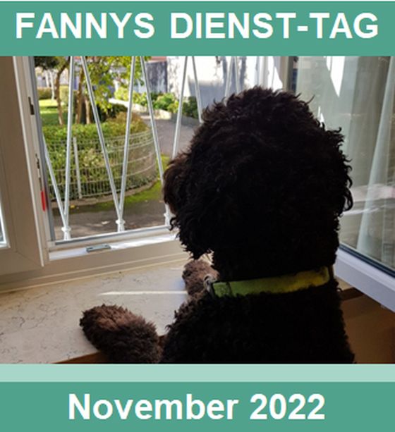BANNER-Fanny-Nov2022_Helvetica_560