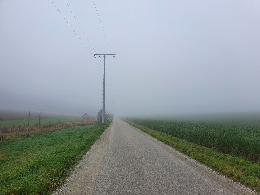 eine schmale geteerte Straße führt geradeaus zwischen Wiesen und Feldern, ein Strommast steht links, alles versinkt in weißem Nebel