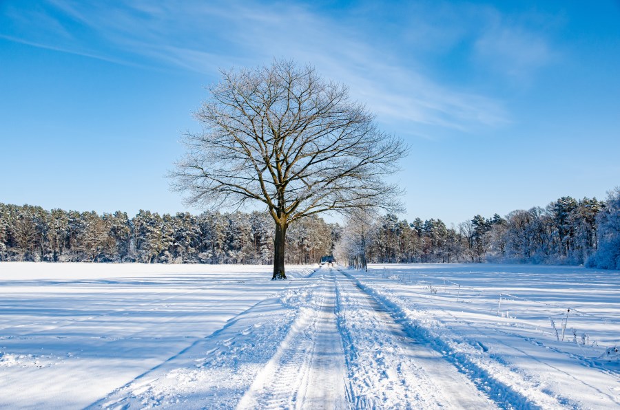 Winterlandschaft