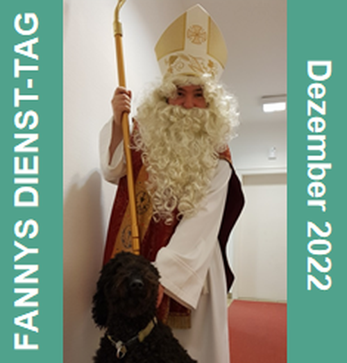 Banner-Fanny-DezNikolaus_500